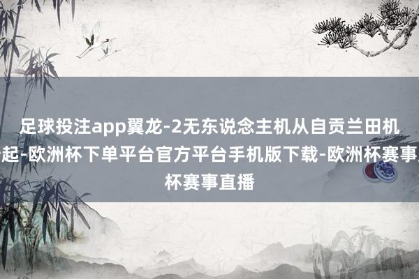 足球投注app翼龙-2无东说念主机从自贡兰田机场升起-欧洲杯下单平台官方平台手机版下载-欧洲杯赛事直播