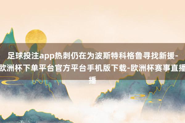 足球投注app热刺仍在为波斯特科格鲁寻找新援-欧洲杯下单平台官方平台手机版下载-欧洲杯赛事直播