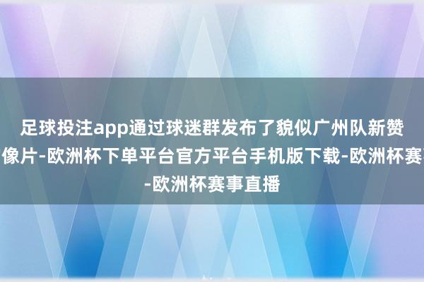 足球投注app通过球迷群发布了貌似广州队新赞助商的像片-欧洲杯下单平台官方平台手机版下载-欧洲杯赛事直播