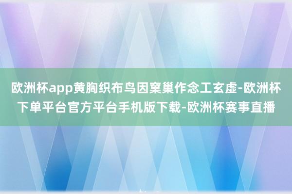 欧洲杯app黄胸织布鸟因窠巢作念工玄虚-欧洲杯下单平台官方平台手机版下载-欧洲杯赛事直播