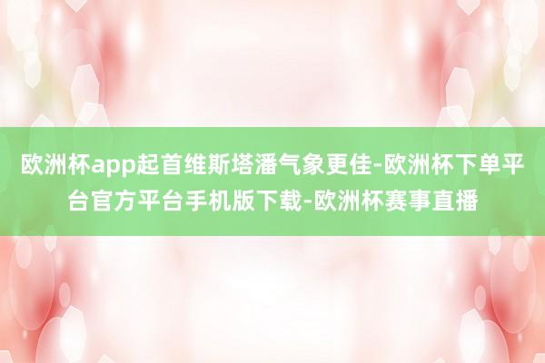 欧洲杯app起首维斯塔潘气象更佳-欧洲杯下单平台官方平台手机版下载-欧洲杯赛事直播