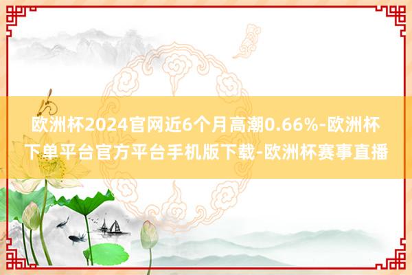 欧洲杯2024官网近6个月高潮0.66%-欧洲杯下单平台官方平台手机版下载-欧洲杯赛事直播