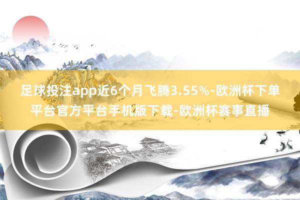 足球投注app近6个月飞腾3.55%-欧洲杯下单平台官方平台手机版下载-欧洲杯赛事直播