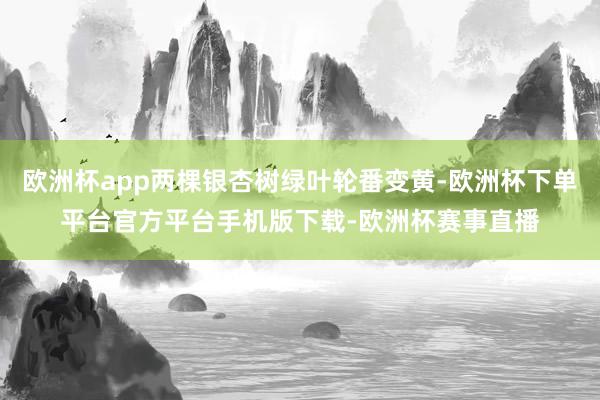 欧洲杯app两棵银杏树绿叶轮番变黄-欧洲杯下单平台官方平台手机版下载-欧洲杯赛事直播