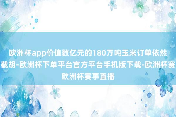 欧洲杯app价值数亿元的180万吨玉米订单依然被巴西截胡-欧洲杯下单平台官方平台手机版下载-欧洲杯赛事直播