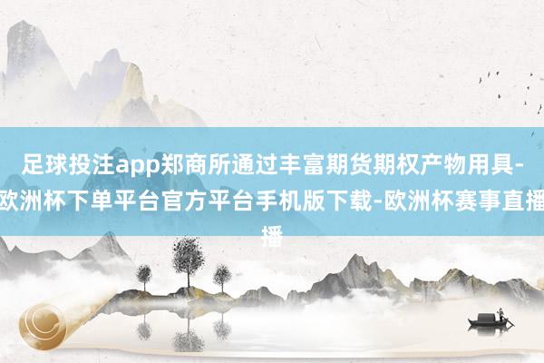 足球投注app郑商所通过丰富期货期权产物用具-欧洲杯下单平台官方平台手机版下载-欧洲杯赛事直播